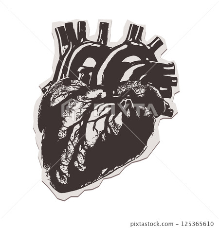 Human heart - pop art style Halftone collage torn out paper sticker. Vintage grunge realistic vector element in stippling style. Black heart Human heart - pop art style Halftone collage torn out paper sticker. Vintage grunge realistic vector element in stippling style. Black heart 125365610