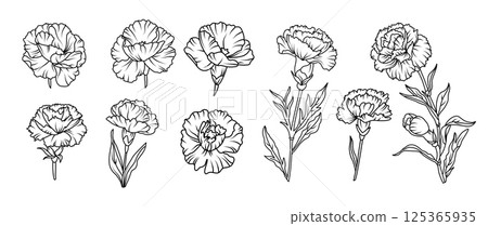 Set of hand drawn carnation flower illustration set in black and white line art style. Vector botanical drawing for tattoo, packaging, card design, and floral decor 125365935