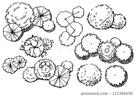 vector, sketch, leaves 125366056