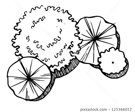 vector, sketch, leaves 125366057