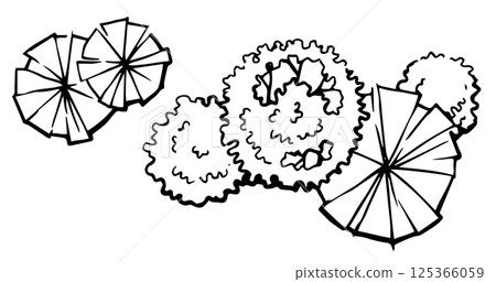 vector, sketch, leaves 125366059