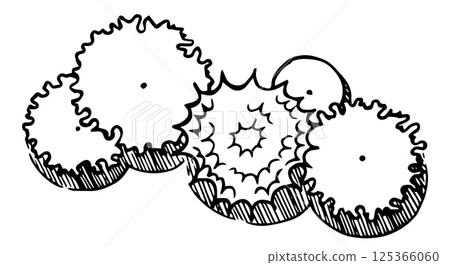 vector, sketch, leaves 125366060