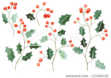 Watercolor simple illustration. Set of Christmas holly branches 125366148