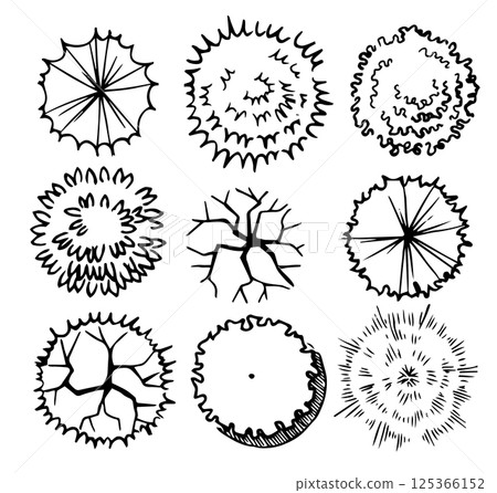 vector, sketch, leaves 125366152