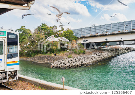 靜岡縣濱松市天龍濱名湖鐵道濱名湖佐久目站的海鷗飛翔與火車的景色 靜岡縣濱松市天龍濱名湖鐵道濱名湖佐久目站的海鷗飛翔與火車的景色 125366407