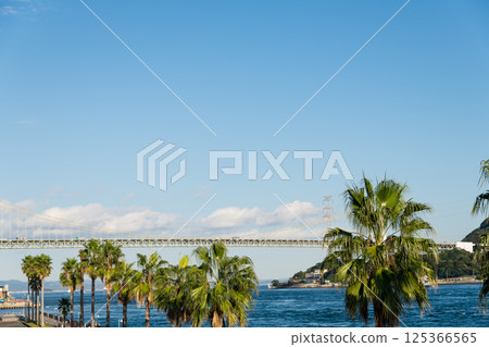 [唐戶市場的關門橋與棕櫚樹] 125366565