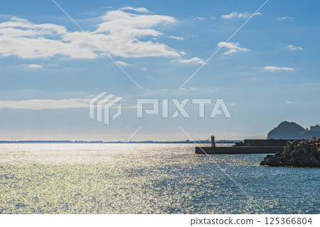 A view of tetrapods floating in the sea from Hirono Coast Park in Shizuoka City (Shizuoka Prefecture) 125366804