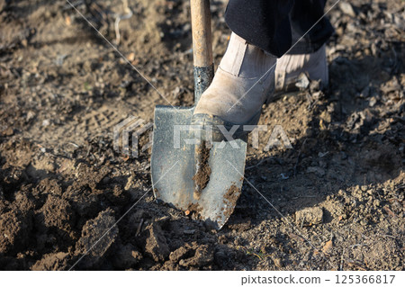 Gardener working and preparing soil for planting, using shovel in garden Gardener working and preparing soil for planting, using shovel in garden 125366817