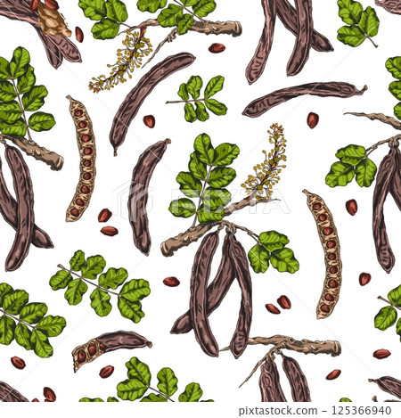 Carob tree bean pods on stem with seeds, leaves and flowers sketch vector seamless pattern design, hand drawn superfood Carob tree bean pods on stem with seeds, leaves and flowers sketch vector seamless pattern design, hand drawn superfood 125366940
