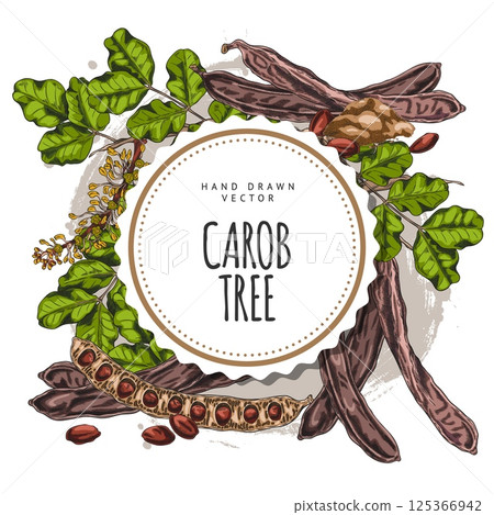 Carob tree bean pods, flowers and leaves, seeds and powder sweetener plant product sketch, hand drawn vector round label 125366942