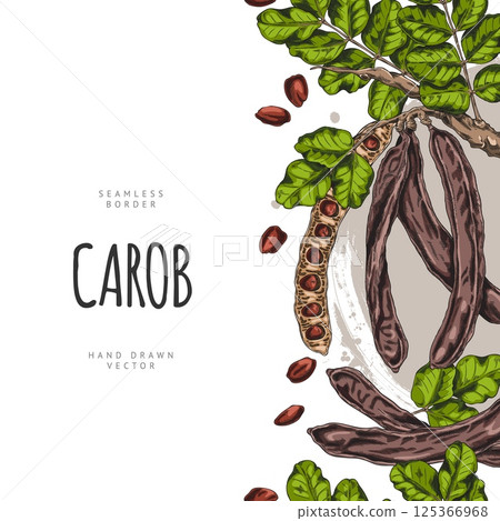 Vector watercolor sketch poster with side seamless border of carob tree. 125366968