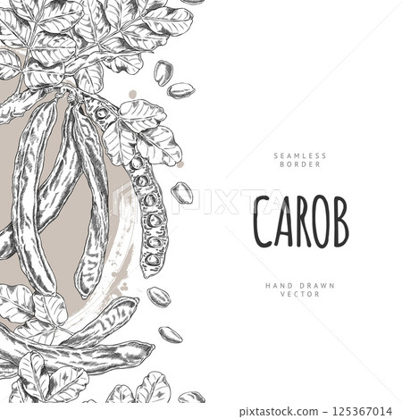 Carob tree bean pods on stem with leaves sketch vector vertical seamless border design, hand drawn engraved superfood 125367014