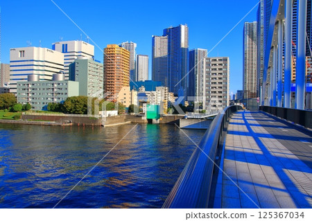 Tsukiji Bridge and Kachidoki high-rise apartment complexes 125367034