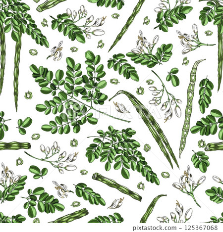 Moringa oleifera sketch vector seamless pattern design, hand drawn twig with green leaves, bean pod and seeds, superfood 125367068