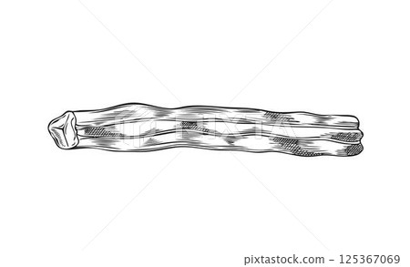 Moringa oleifera cut drumstick, pod engraved hand drawn vector, tropical cultivated plant harvest, Asian superfood fruit 125367069