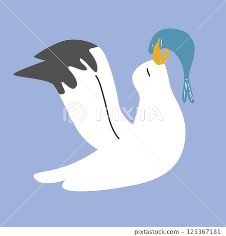 A seagull catch a fish 125367181