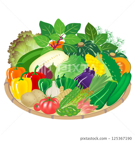 夏季蔬菜 125367190