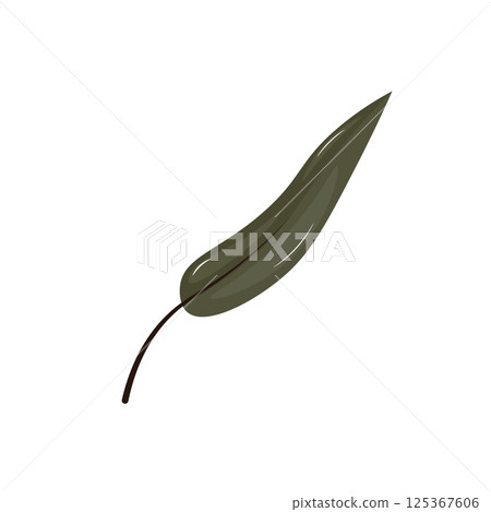 Green leaf in flat design. Foliage plant with abstract floral shape. Vector illustration isolated. Green leaf in flat design. Foliage plant with abstract floral shape. Vector illustration isolated. 125367606