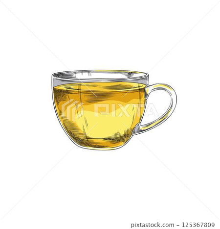 Glass cup of tea sketch icon, vector hand drawn transparent mug with natural drink, brewing herbal beverage tea ceremony 125367809