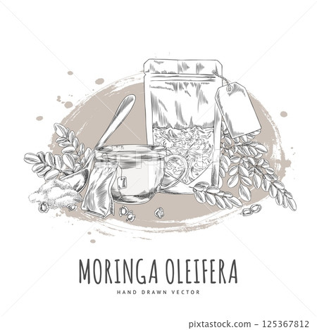 Moringa oleifera products vector engraved hand drawn, leaves, seeds and powder, superfood package, cup with tea and bag Moringa oleifera products vector engraved hand drawn, leaves, seeds and powder, superfood package, cup with tea and bag 125367812