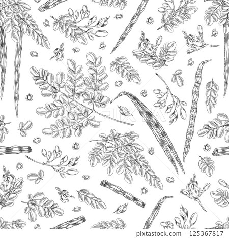 Moringa oleifera sketch vector seamless pattern, hand drawn engraved twig with leaves, bean pods and seeds, superfood Moringa oleifera sketch vector seamless pattern, hand drawn engraved twig with leaves, bean pods and seeds, superfood 125367817