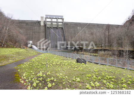 Kanayama Dam seen from below 125368182