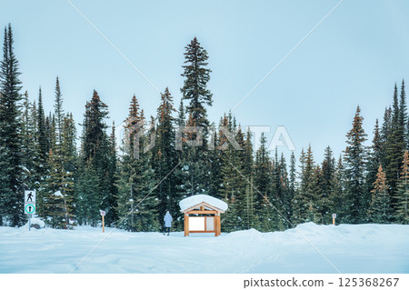 Snowy trailhead with wooden signboard by parking in pine forest on winter Snowy trailhead with wooden signboard by parking in pine forest on winter 125368267