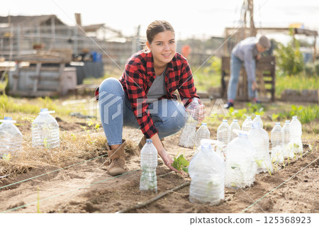 Hardworking young female gardener inspecting cabbage seedlings under bottles during season of sowing on sunny day in March Hardworking young female gardener inspecting cabbage seedlings under bottles during season of sowing on sunny day in March 125368923