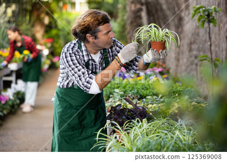 Man florist arranging flowers in pots at flower shop 125369008