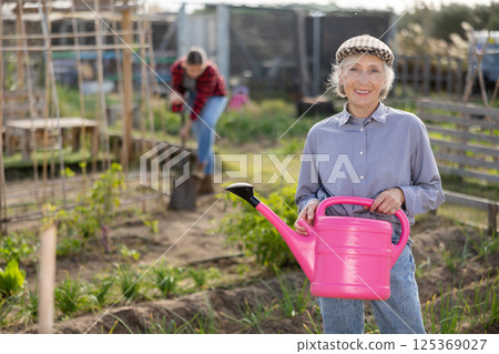 Skilled old woman farmer in shirt holding pink watering can in hands and smiling at camera during work in vegetable garden in spring Skilled old woman farmer in shirt holding pink watering can in hands and smiling at camera during work in vegetable garden in spring 125369027