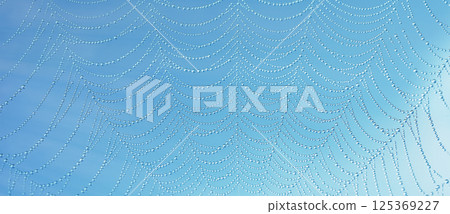 Abstract structure of dew on web lines with transparent drops and soft light. Great for nature and wellness visuals Banner 125369227