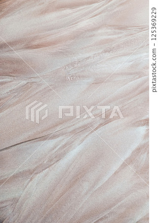Soft pastel sand texture with smooth wave line background for minimal design. Sand pattern background after wave flow for nature, travel and relaxation themes Soft pastel sand texture with smooth wave line background for minimal design. Sand pattern background after wave flow for nature, travel and relaxation themes 125369229