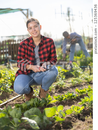 Farmer woman using chopper to harvest weeds on field Farmer woman using chopper to harvest weeds on field 125369436