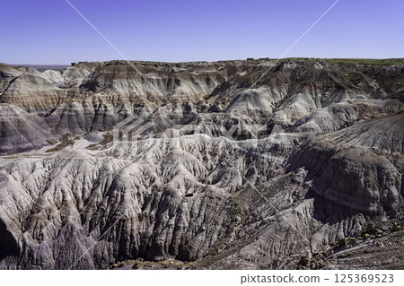 Petrified wood, Petrified Forest National Park, Arizona 125369523