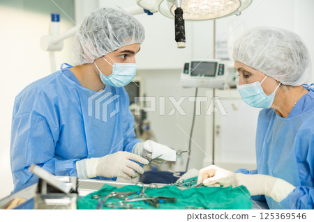 Senior woman doctor of veterinary medicine is focused performs surgery on animal. Senior woman doctor of veterinary medicine is focused performs surgery on animal. 125369546