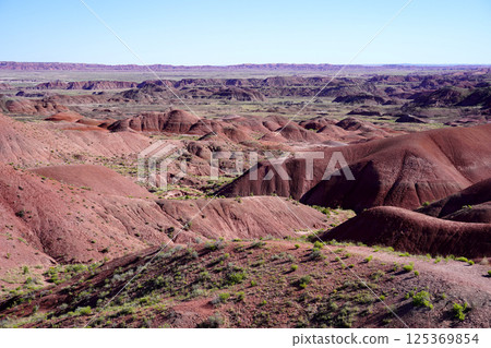 Painted Desert Petrified Forest National Park Arizona 125369854