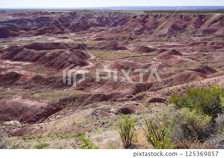 Painted Desert Petrified Forest National Park Arizona 125369857