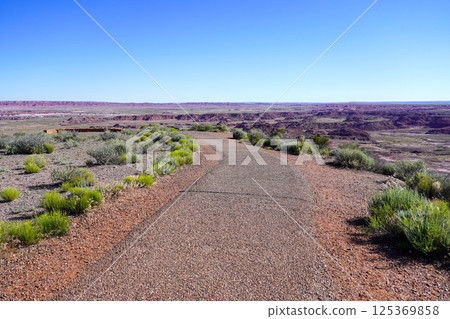 Painted Desert Petrified Forest National Park Arizona 125369858