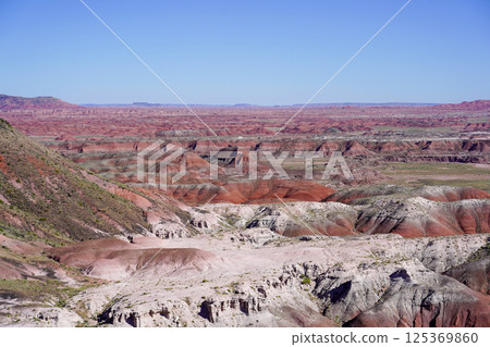 Painted Desert Petrified Forest National Park Arizona 125369860