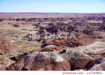 Painted Desert Petrified Forest National Park Arizona 125369861