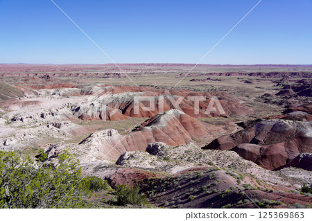 Painted Desert Petrified Forest National Park Arizona 125369863