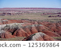 亞利桑那州彩繪沙漠石化森林國家公園 125369864