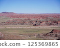亞利桑那州彩繪沙漠石化森林國家公園 125369865