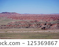 亞利桑那州彩繪沙漠石化森林國家公園 125369867