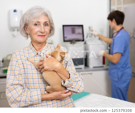 Smiling aged woman bringing chihuahua to veterinary clinic for routine checkup Smiling aged woman bringing chihuahua to veterinary clinic for routine checkup 125370108