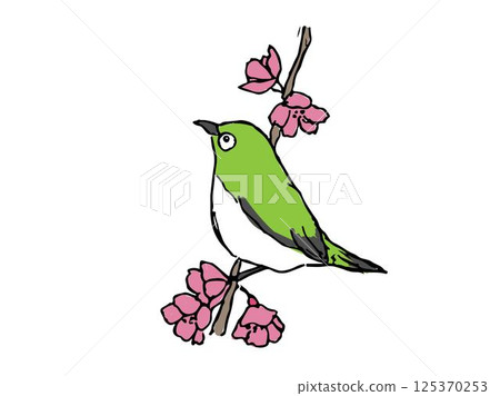 夜鶯 夜鶯 125370253