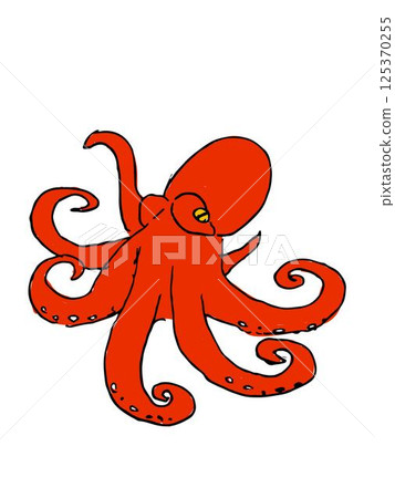 章魚 章魚 125370255