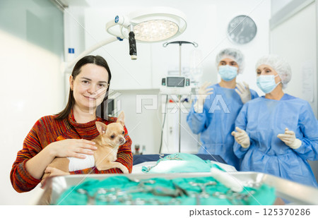 Smiling woman holding chihuahua with bandaged belly after successful surgery Smiling woman holding chihuahua with bandaged belly after successful surgery 125370286