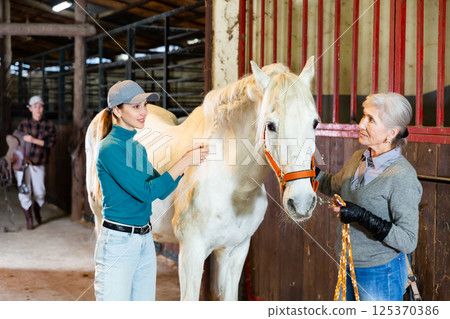 Women horse breeders braiding mane of white horse in barn Women horse breeders braiding mane of white horse in barn 125370386