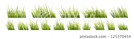 Vector Illustration of Vibrant Green Grass Elements on a White Background Showcasing Various Growth Styles and Arrangements 125370454